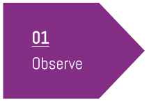 Observe - Synaptic Bloom