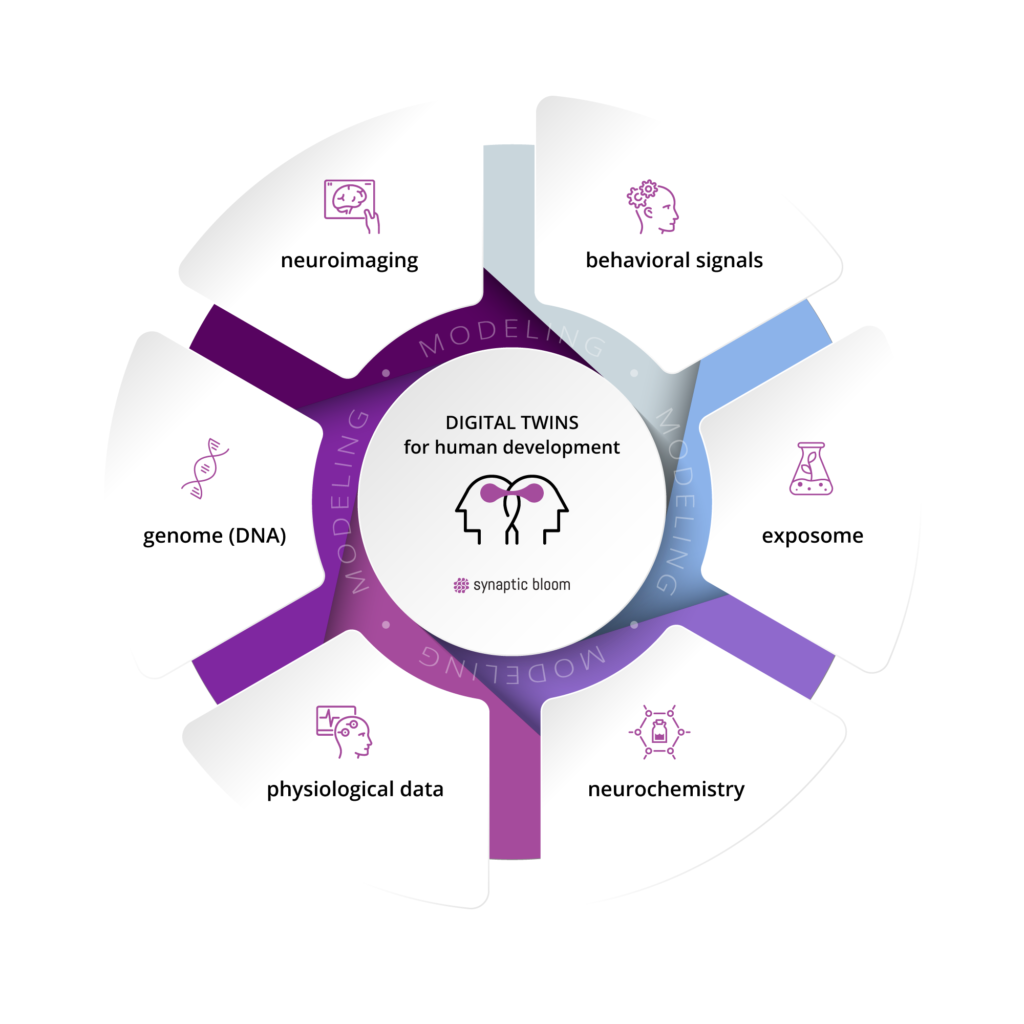 Human development emerges from the interaction of biological, behavioural, and environmental systems